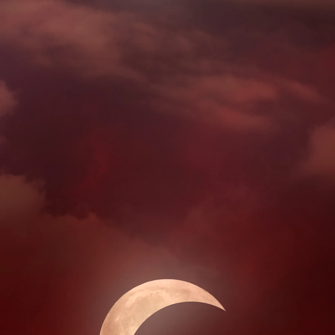 Manga page 113